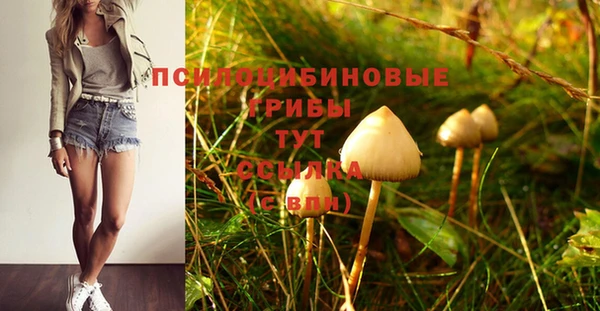 spice Алексин