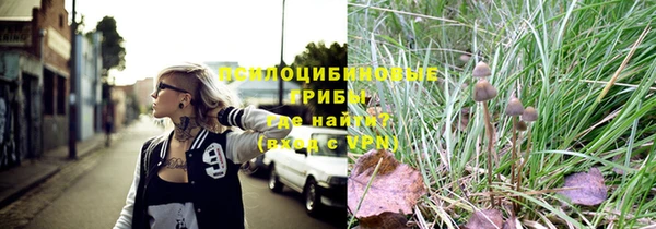 spice Алексин