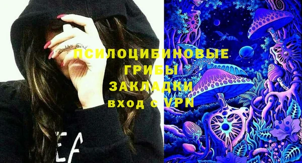 spice Алексин