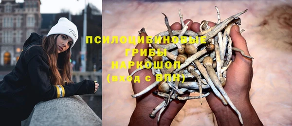 spice Алексин